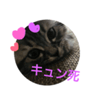 LOVEwannyanz（個別スタンプ：7）