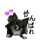 LOVEwannyanz（個別スタンプ：18）