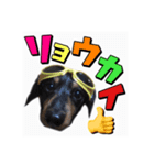ラック（個別スタンプ：1）