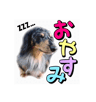 ラック（個別スタンプ：4）