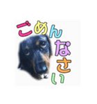 ラック（個別スタンプ：5）