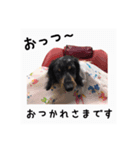 ラック（個別スタンプ：6）