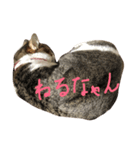 にゃんこで 修正版（個別スタンプ：5）
