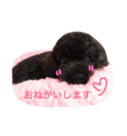 My Family TINK(1)（個別スタンプ：1）