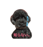 My Family TINK(1)（個別スタンプ：4）