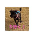 My Family TINK(1)（個別スタンプ：6）