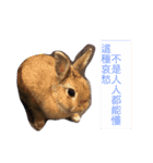Rabbit jump（個別スタンプ：3）