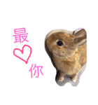 Rabbit jump（個別スタンプ：12）