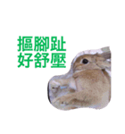 Rabbit jump（個別スタンプ：14）