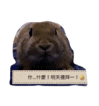 Rabbit jump（個別スタンプ：16）