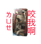 Afu is comming（個別スタンプ：4）