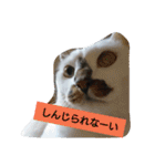 うちの、にゃんころりん（個別スタンプ：2）