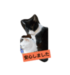 うちの、にゃんころりん（個別スタンプ：27）