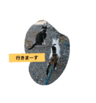 うちの、にゃんころりん（個別スタンプ：32）