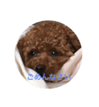 Apollo.Stamp（個別スタンプ：9）