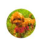 Apollo.Stamp（個別スタンプ：10）