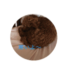 Apollo.Stamp（個別スタンプ：11）