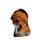 Apollo.Stamp（個別スタンプ：13）