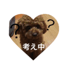 Apollo.Stamp（個別スタンプ：17）