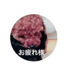 Apollo.Stamp（個別スタンプ：18）