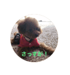 Apollo.Stamp（個別スタンプ：23）