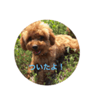 Apollo.Stamp（個別スタンプ：24）