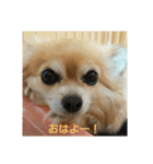 tiwawanoaisatu（個別スタンプ：1）