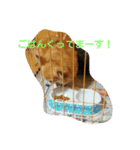 tiwawanoaisatu（個別スタンプ：3）