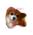 tiwawanoaisatu（個別スタンプ：8）