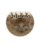 mer stamp（個別スタンプ：2）