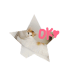 mer stamp（個別スタンプ：3）