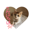 mer stamp（個別スタンプ：9）