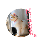 mer stamp（個別スタンプ：14）