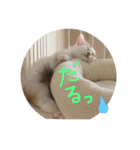 mer stamp（個別スタンプ：17）