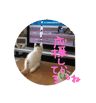 mer stamp（個別スタンプ：23）
