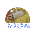 mer stamp（個別スタンプ：27）