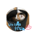 mer stamp（個別スタンプ：28）