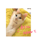 mer stamp（個別スタンプ：30）