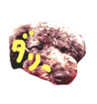 oneco（個別スタンプ：1）