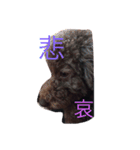 oneco（個別スタンプ：6）