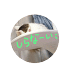 mer スタンプ2（個別スタンプ：2）