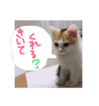 mer スタンプ2（個別スタンプ：6）