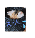 mer スタンプ2（個別スタンプ：8）
