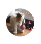 mer スタンプ2（個別スタンプ：16）