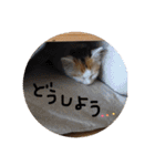 mer スタンプ2（個別スタンプ：24）