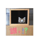 mer スタンプ2（個別スタンプ：26）