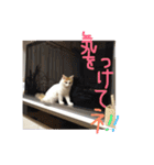 mer スタンプ2（個別スタンプ：32）