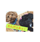 wonderfulLife2018-2（個別スタンプ：2）