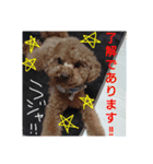 wonderfulLife2018-2（個別スタンプ：4）