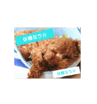 wonderfulLife2018-2（個別スタンプ：5）